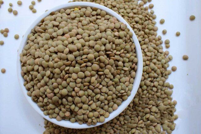 عدس سبز کیلویی؛ کاهش وزن حاوی منیزیم فیبر Sweet