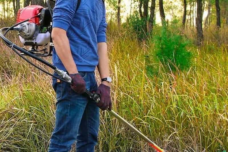 شخم زن علف زن؛ آهن مشکی قهوه ای باغ نهالستان (7 9) عدد