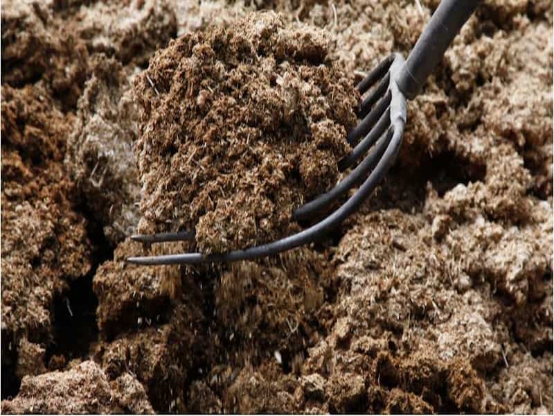 کود حیوانی گاوی؛ قهوه ای روشن دارای رطوبت کم مناسب رشد گیاهان manure