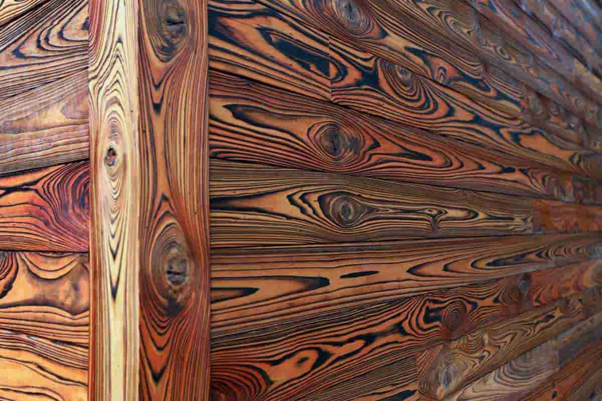 چوب نراد انزلی؛ سبک مستحکم زیبایی خاص بادوام most usable