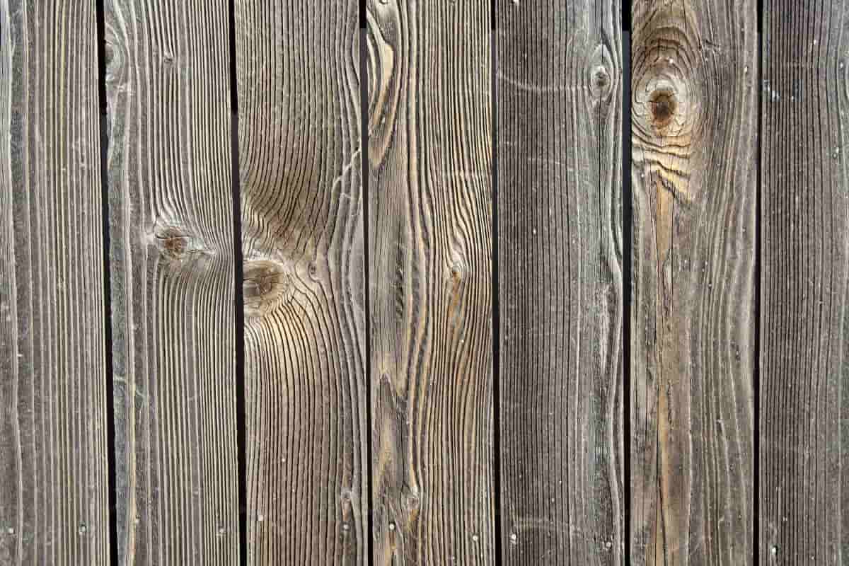 چوب خام مبل؛ ضخیم مستحکم (راش گردو چنار) سمباده کشی