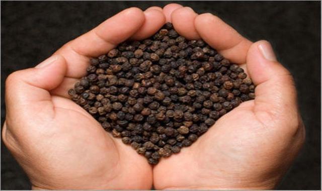 فلفل سیاه گلستان؛ آنتی اکسیدان قوی کاهش کلسترول (70 80 90) گرمی