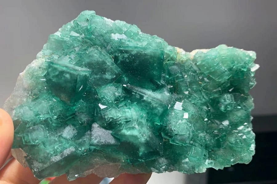 نمک سبز؛ چاشنی (نعناع گشنیز چوچاق) ویتامین آهن Calcium