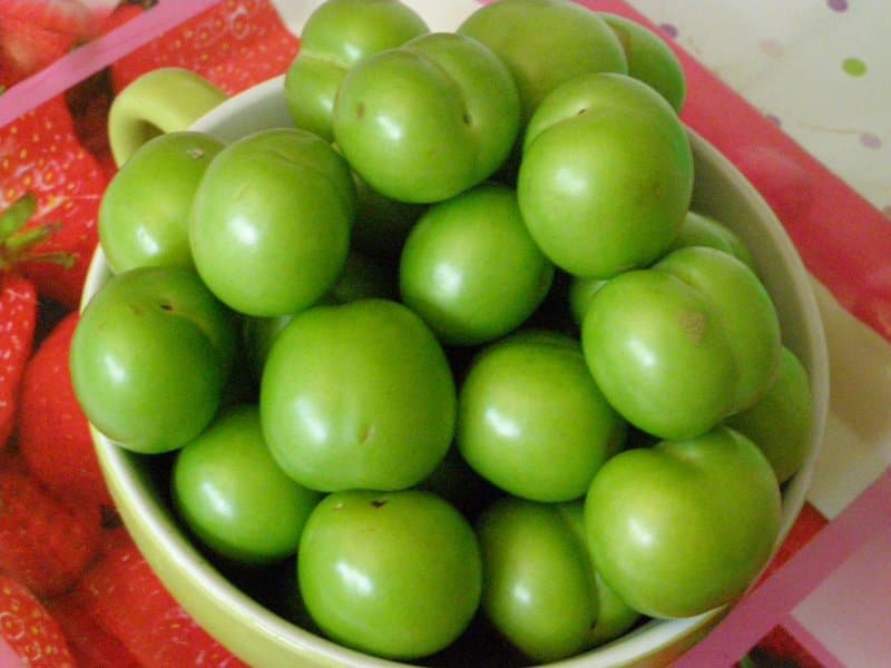 گوجه سبز گلخانه ای؛ آلو سیاه رقم برغان جذب آهن شهریار ویتامین C