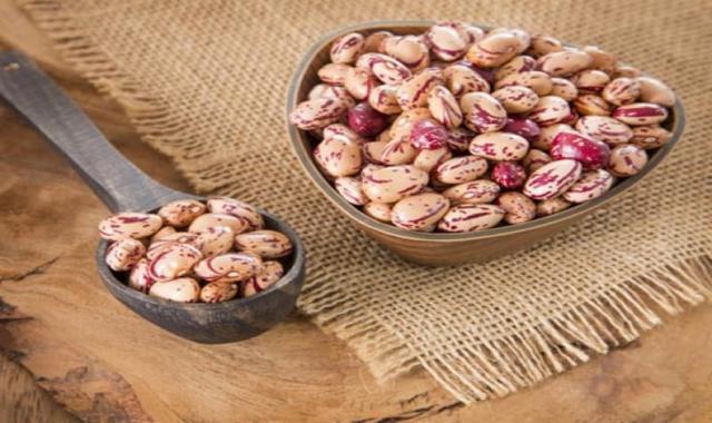 لوبیا چیتی ارگانیک؛ بافتی سفت رنگ روشن پروتئین کالری زیاد Beans