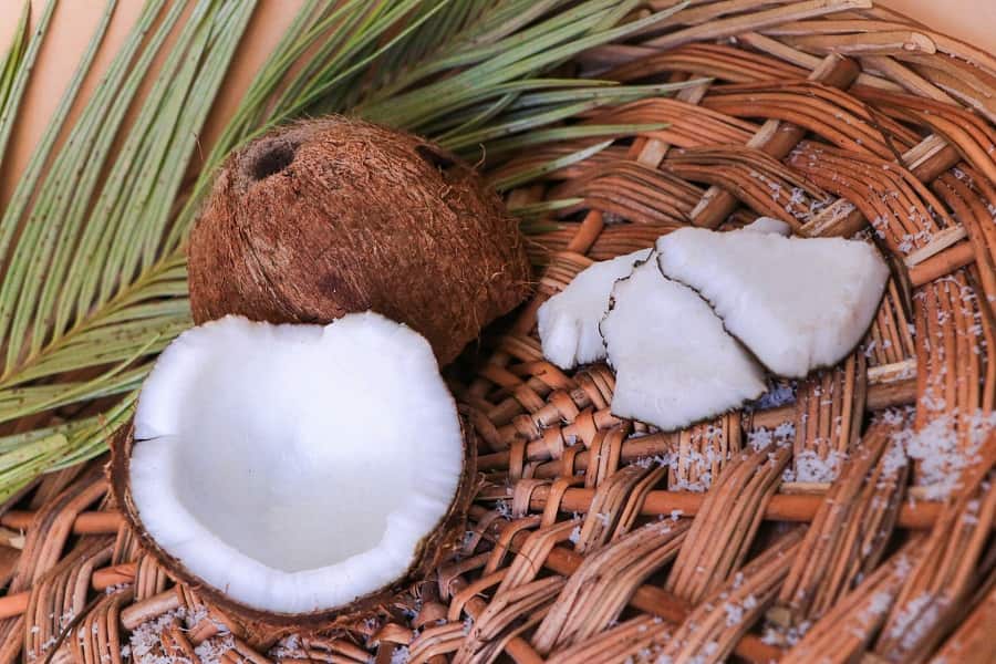 نارگیل فله؛ استوایی گوشت سفید الکترولیت اسید آمینه ویتامین B