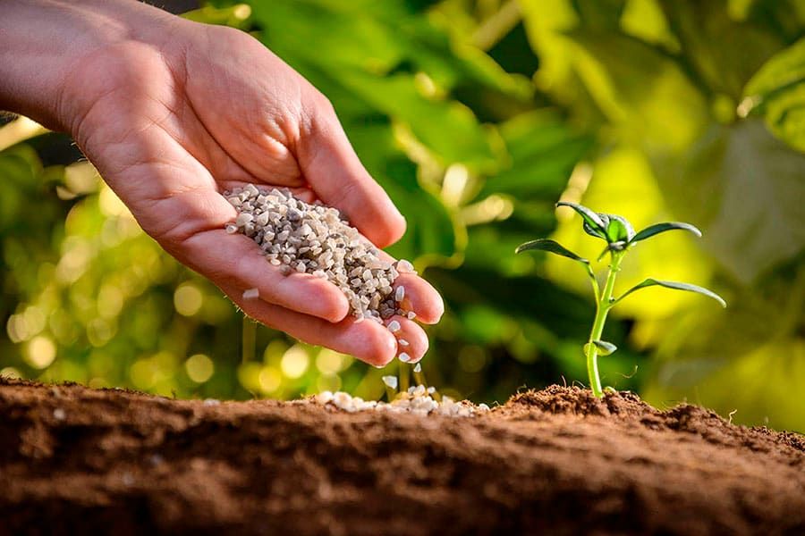 کود فسفر بالا خارجی؛ پودری زرد قطره ای چاله کنی 4 1 کیلویی