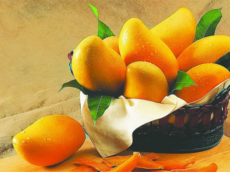 انبه درجه یک؛ گرد بیضی 3 رنگ زرد سبز قرمز بافت نرم دسر سالاد استوایی