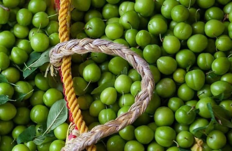 آلوچه ترش؛ ارگانیک مواد معدنی (بسته بندی فله ای) تقویت سیستم ایمنی