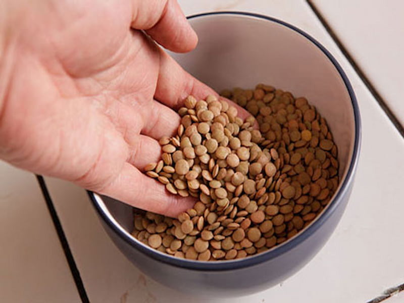 عدس برای بدنسازی؛ دو لپه حاوی پروتئین ویتامین مناسب رژیم غذایی Lentils