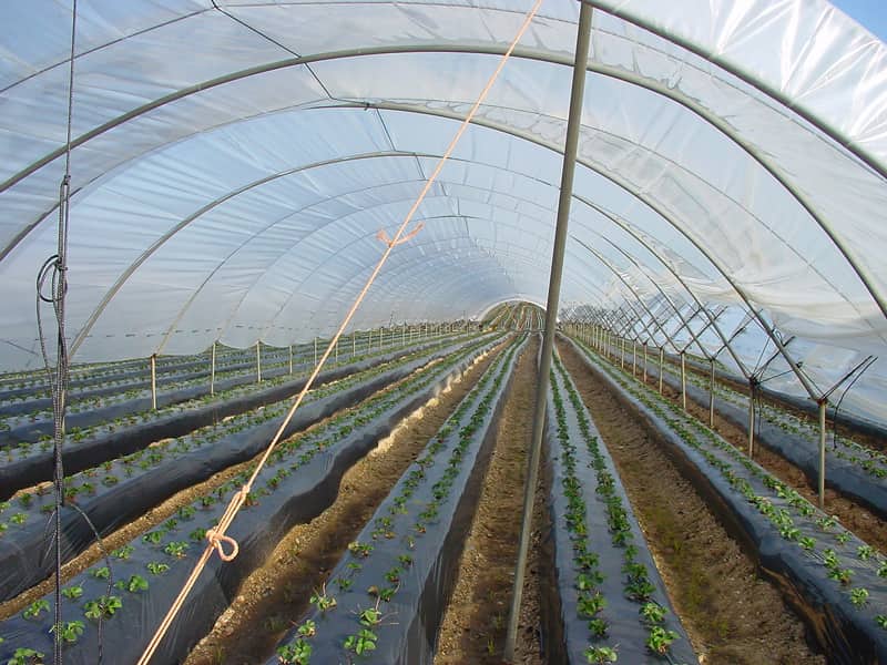 نایلون فخرآور تهران؛ پلیمر پلی اتیلن اشعه فرا بنفش (2 5) لایه