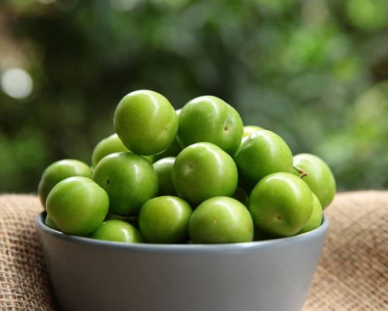 الوچه امروز؛ ریز ترش (بسته بندی فله ای) سلامتی روده ویتامین