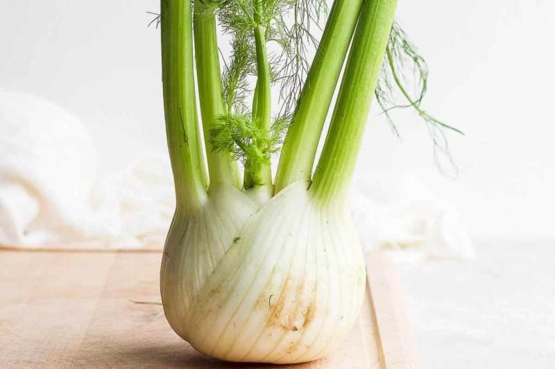 رازیانه غده ای؛ چاشنی ادویه برگ ریشه تخم دمنوش چای mountain