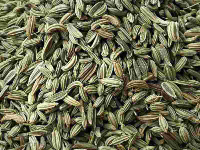 برگ رازیانه خشک؛ آهک فسفر درمان نازایی فله بسته بندی کربوهیدات قند fennel