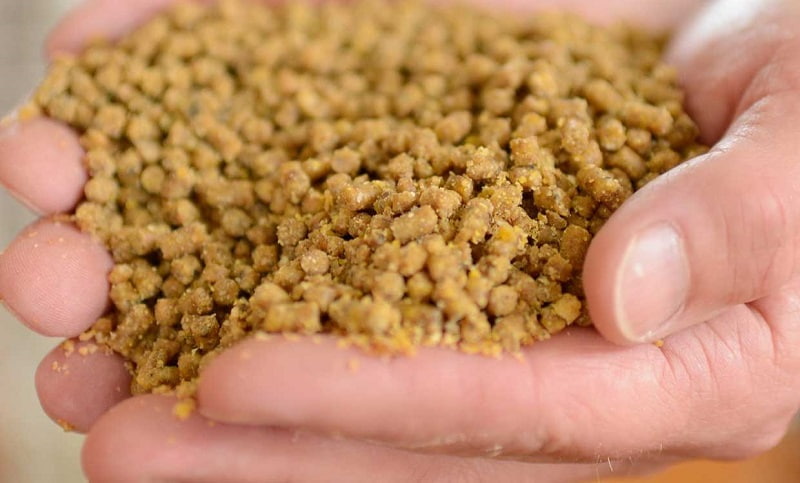 خوراک دام و طیور اهواز؛ کنسانتره کُنجاله پروتئین کربوهیدرات Vitamin