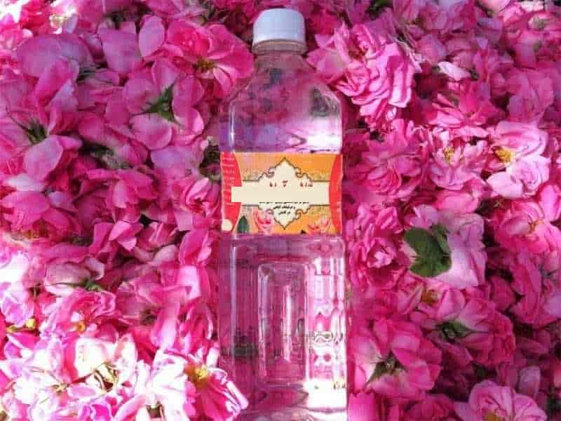 گلاب کاشان در اصفهان؛ بی نظیر درمان اعصاب گوارش جوش آکنه Kashan