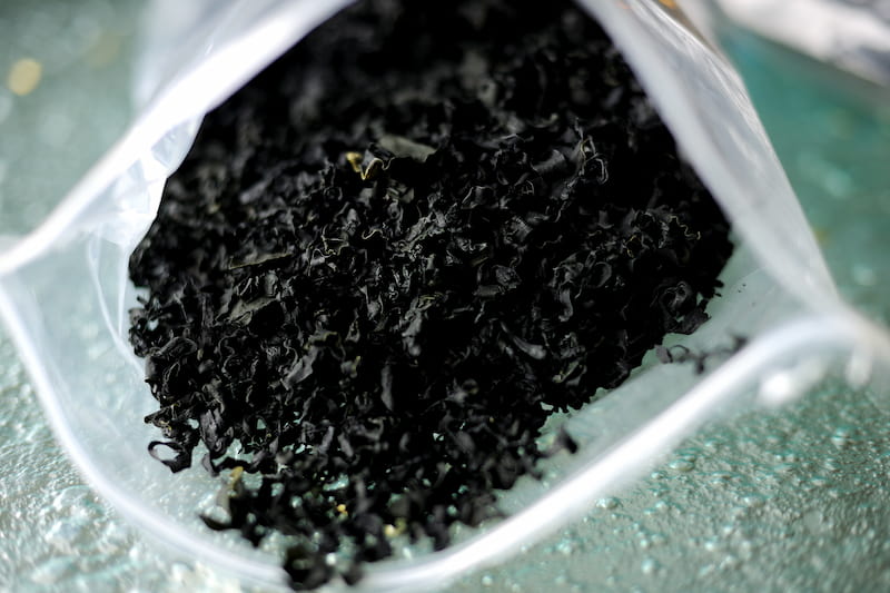 جلبک دریایی کشاورزی؛ سبز قهوه ای 3 نوع پودر کود مایع Seaweed