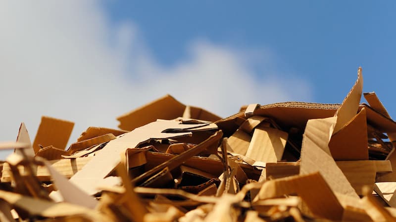 ضایعات کارتن در زنجان؛ صرفه اقتصادی حفظ منابع طبیعی Recycle