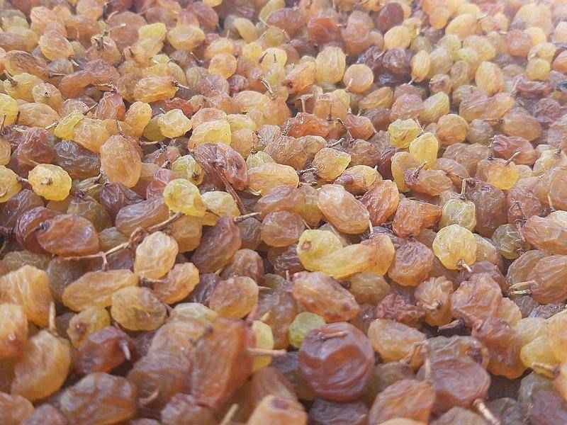 کشمش سبز در ایران؛ ارزش غذایی بالا حاوی کلسیم پتاسیم Iron