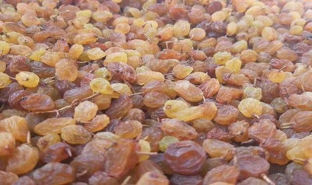 کشمش سبز در ایران؛ ارزش غذایی بالا حاوی کلسیم پتاسیم Iron