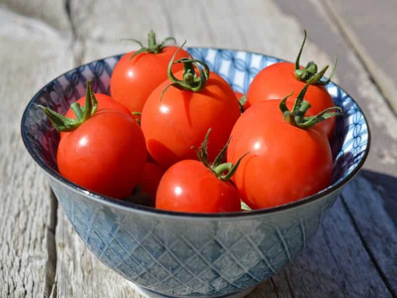 خرید و قیمت گوجه فرنگی میدان تهران