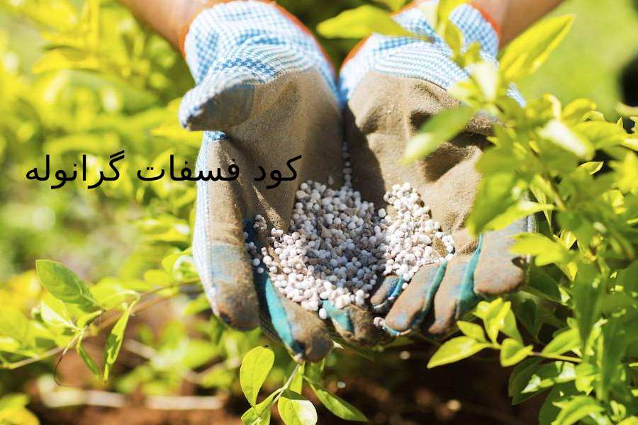 کود فسفات گرانوله؛ گیاهی شیمیایی حاوی گوگرد فسفر کلسیم آهن Phosphate