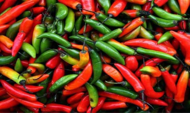 فلفل نسابیده؛ طبیعی ارگانیک سالم پودری خشک وزن 550 گرم خوش طعم