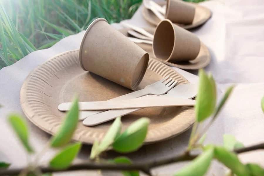 ظروف یکبار مصرف گیاهی تبریز؛ سه لایه 2 مدل مربعی دایره Tabriz