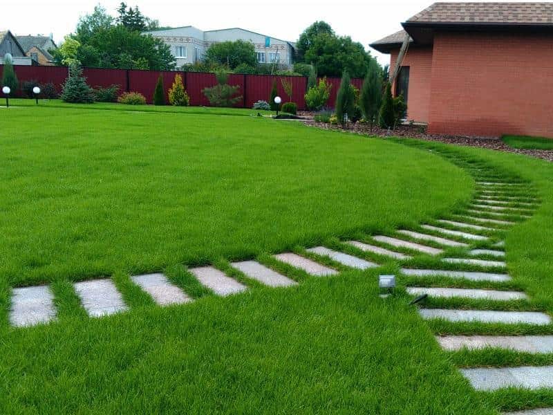 چمن مصنوعی واش بتن؛ پلی‌ پروپیلن سبز سیر نیمه بلند متری شاخه ای Artificial Grass