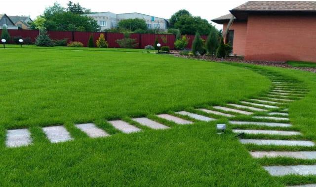 چمن مصنوعی واش بتن؛ پلی‌ پروپیلن سبز سیر نیمه بلند متری شاخه ای Artificial Grass