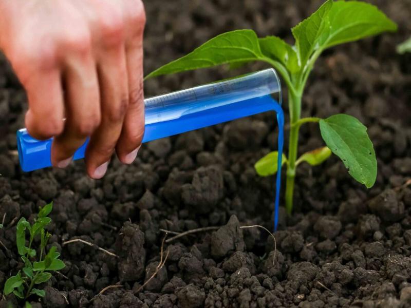 کود مایع پتاس بالا؛ ارگانیک تقویت خاک رشد گیاه آبیاری قطره ای white