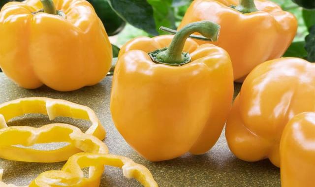 فلفل دلمه ای در تهران؛ نر ماده 3 رنگ سبز بنفش قرمز