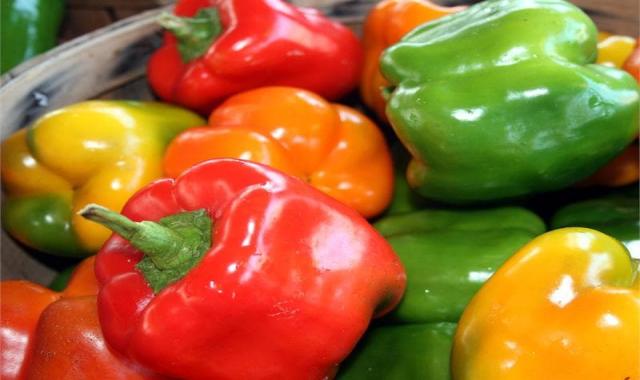 فلفل دلمه ای صادراتی امروز؛ زرد اگزمای پوستی 2 کاربرد مرغ سالاد