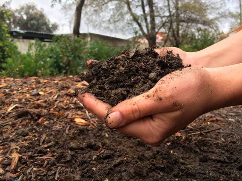 کود غنی شده؛ گاز مایع جامد 2 نوع حیوانی شیمیایی Fertilizer