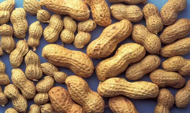 بادام زمینی روکش دار پنگوئن؛ بو داده 3 طعم کچاپ سرکه ای پیاز جعفری almonds