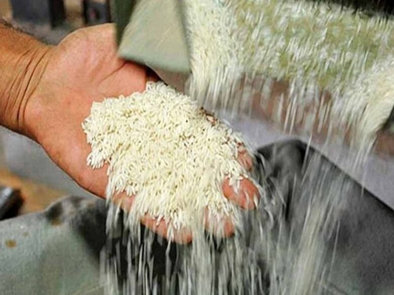 برنج دم سیاه استخوانی؛ بافتی سفت خوش پخت مناسب مجالس مهمانی Bone  