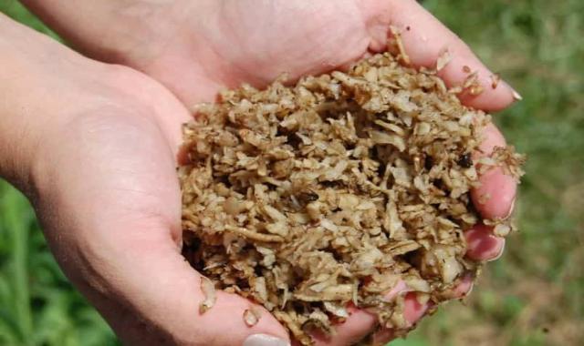 تفاله چغندر دامی؛ قهوه ای روشن تیره 50 کیلوگرمی خشک تر Calcium