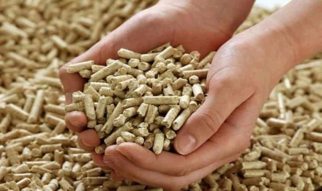 تفاله چغندر امروز؛ قهوه ای روشن تیره انرژی بالا 2 خواص پروتئین چربی