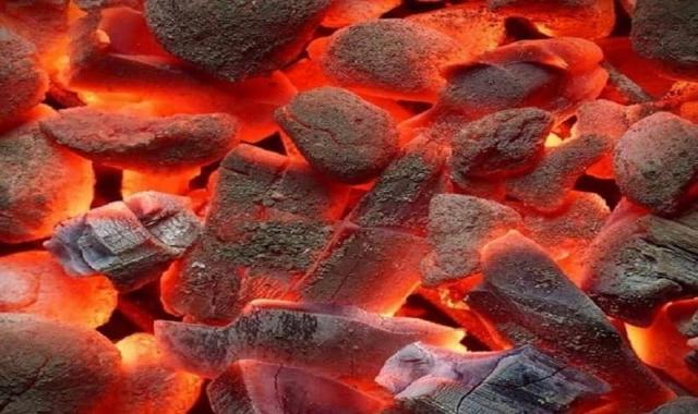 زغال کبابی گونی؛ پخت غذا چوب درختان رنگ سیاه 98 درصد کربن