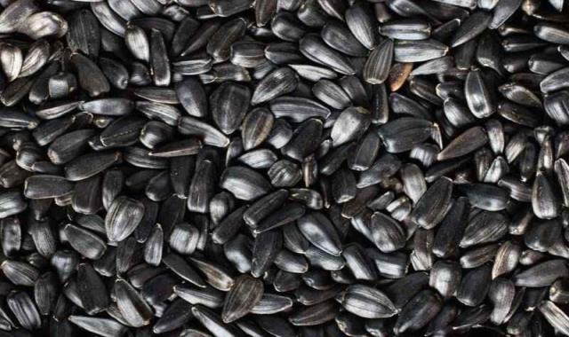تخمه آفتابگردان خام چینی؛ بوداده نمکی لیمویی فسفر منگز سفید Black