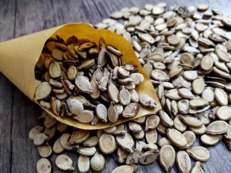 تخمه هندوانه خام در سبزوار؛ پوست نازک مغز سفید بو داده پتاسیم selenium