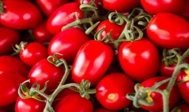 گوجه فرنگی در تره بار تهران؛ طعم لذیذ بافت سفت organic نوع گیلاسی
