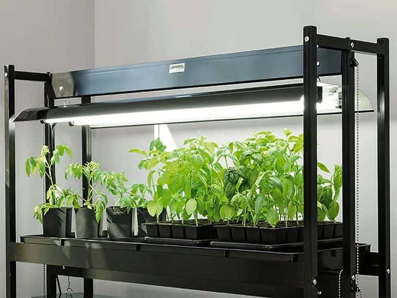 لامپ طیف کامل؛ رشد گیاهان بنفش 48 وات گلخانه کوچک