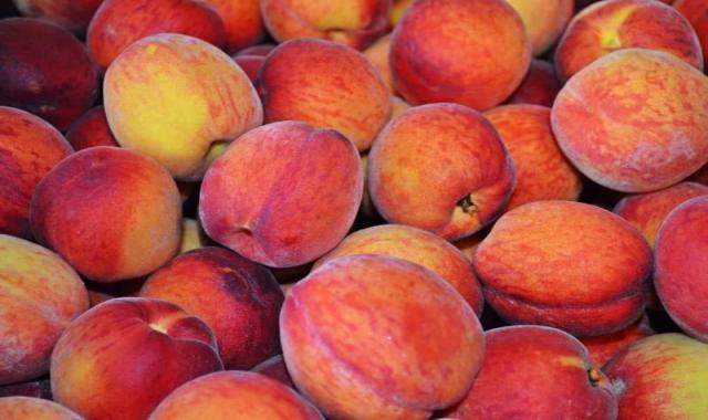 هلو زعفرانی در تهران؛ طبع سرد تر آبمیوه شربت کربوهیدات فیبر Protein