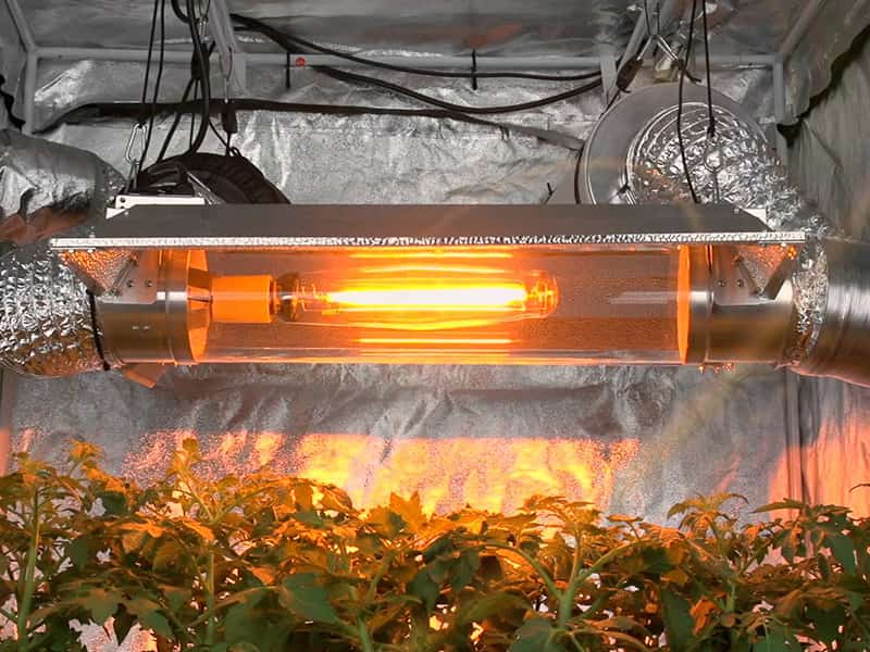 لامپ گازی 1000 وات؛ خانگی تجاری (مات شفاف) هالوژنی سفینه ای