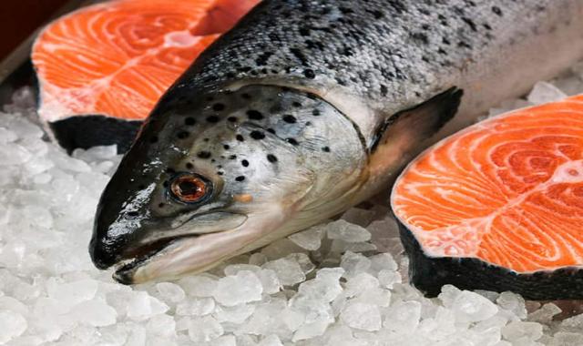 ماهی سالمون مشهد؛ دریا اقیانوس بدون تیغ (D E )ویتامین