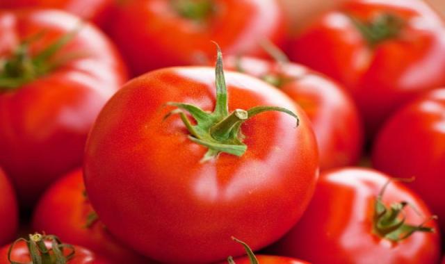 گوجه فرنگی صادراتی؛ بافت سفت 2 نوع معمولی گلخانه ای Tomato