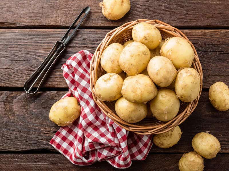 سیب زمینی در زمین کشاورزی؛ نشاسته بالا طبع سرد حاوی انواع ویتامین potato