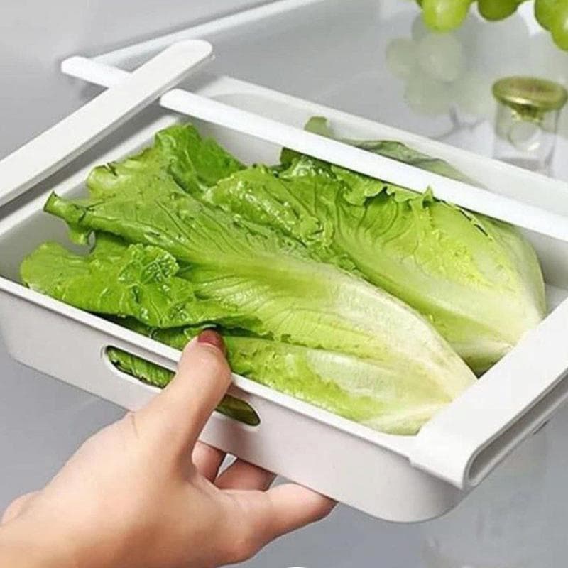 قطعات پلاستیکی یخچال دوو؛ مقاوم بهبود عملکرد دستگیره قفسه Daewoo