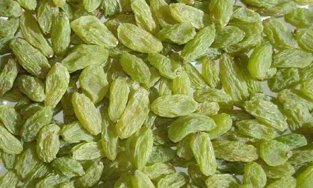 کشمش سبز قلمی خلیل آباد (سایه خشک) بیدانه طبع گرم خونساز